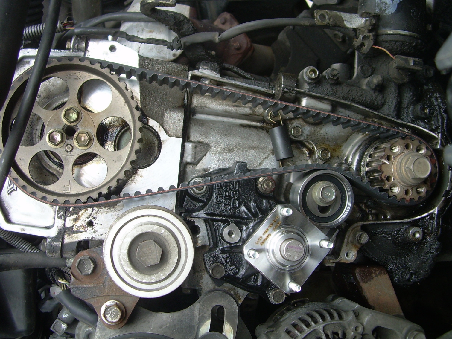 courroie de distribution